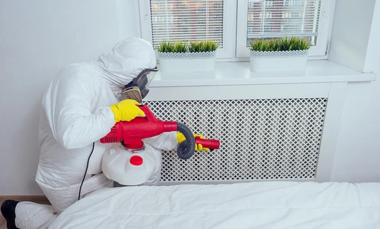 Vacuuming for Bedbug Control: Best Practices