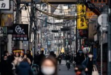 market analysis summary report