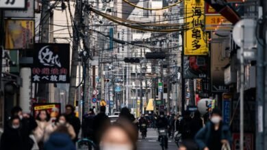 market analysis summary report